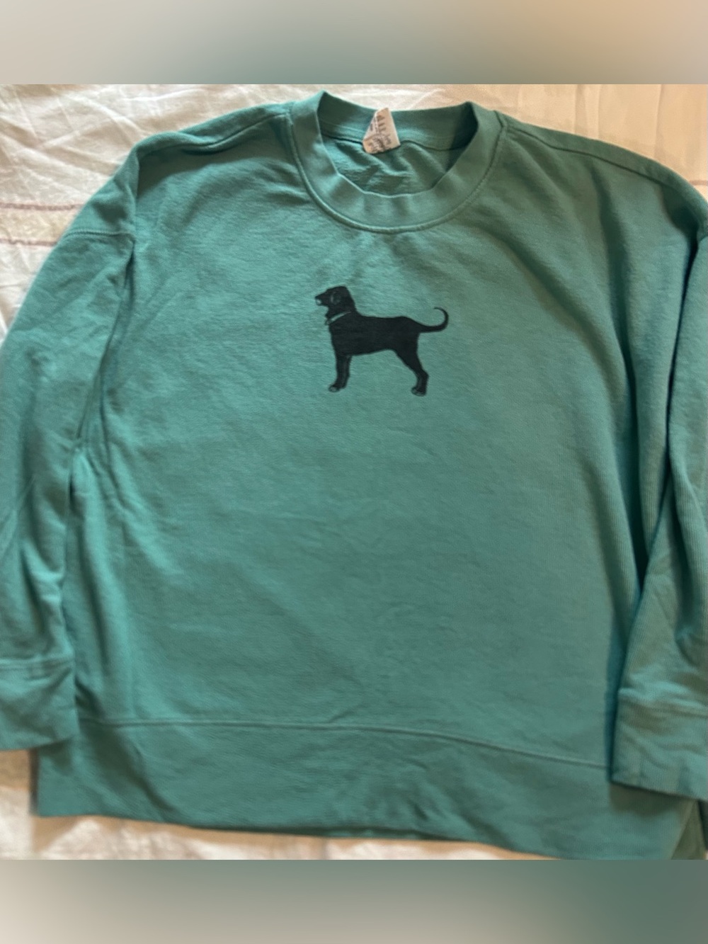 The Black Dog Women’s Green Crewneck Lightweight Sweatshirt Black Dog Graphic M